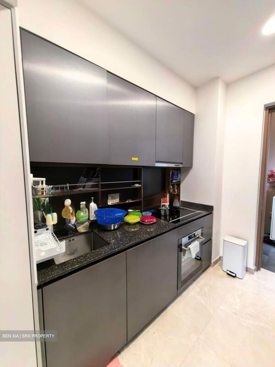 Daintree Residence (D21), Condominium #499329071